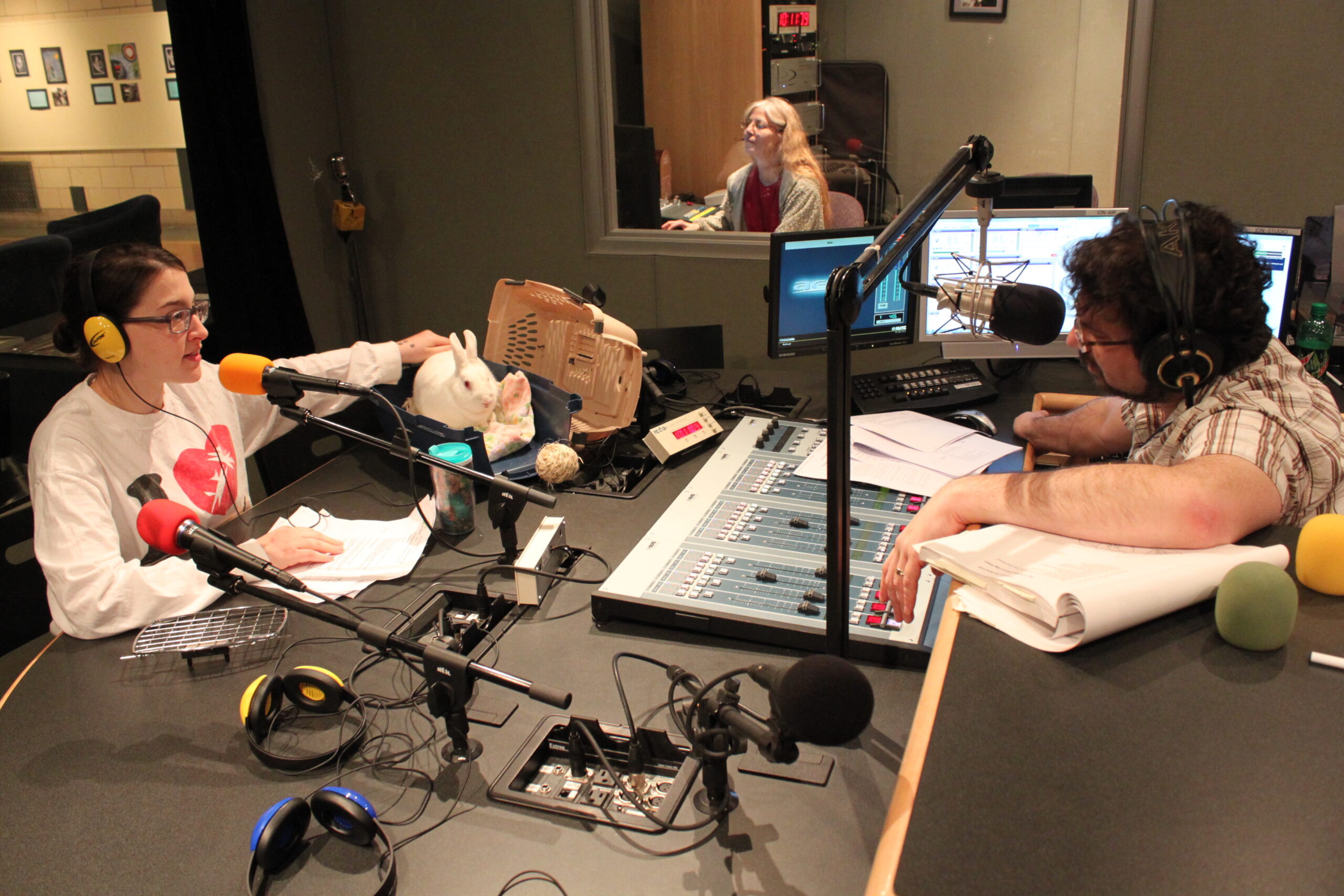 An adult wearing headphones speaking into a microphone sitting next to a rabbit being interviewed by an adult wearing headphones sitting behind a microphone and an audio mixer in a radio studio