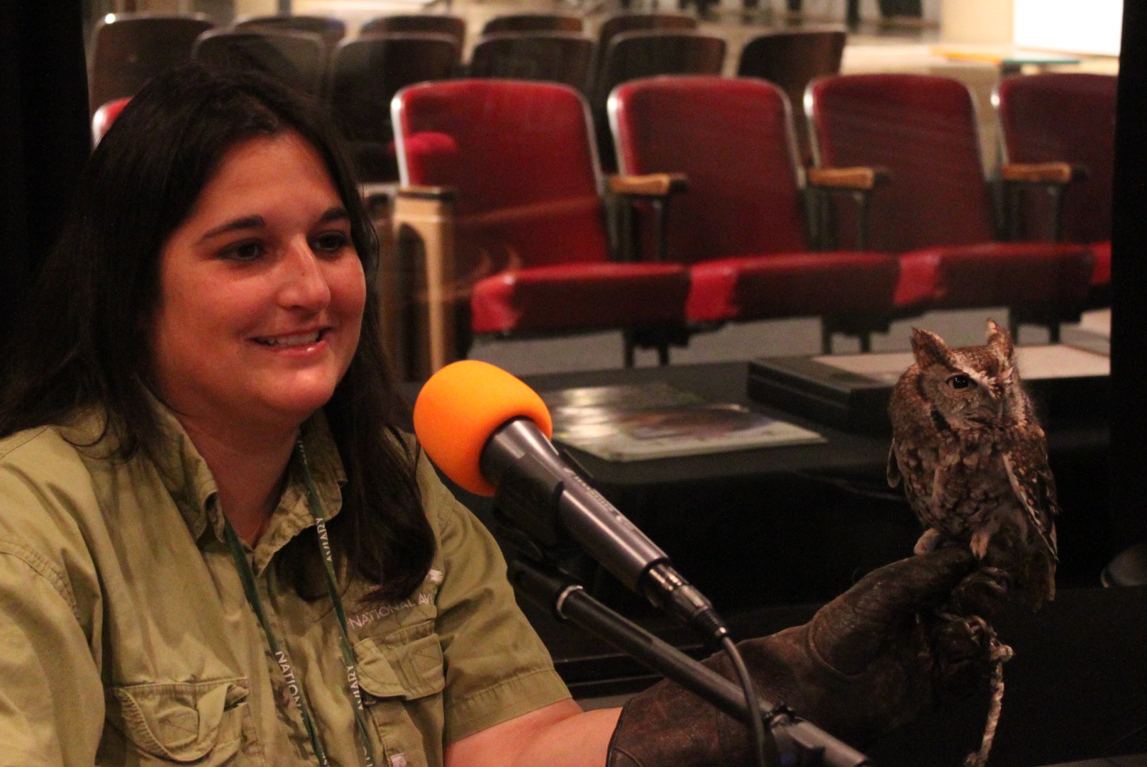 An adult sitting behind a microphone holding a live owl in a radio studio