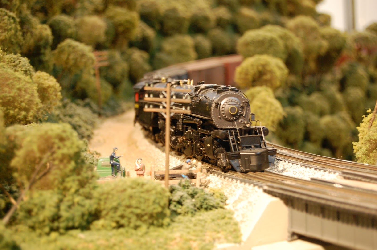 A model train driving through a model forest