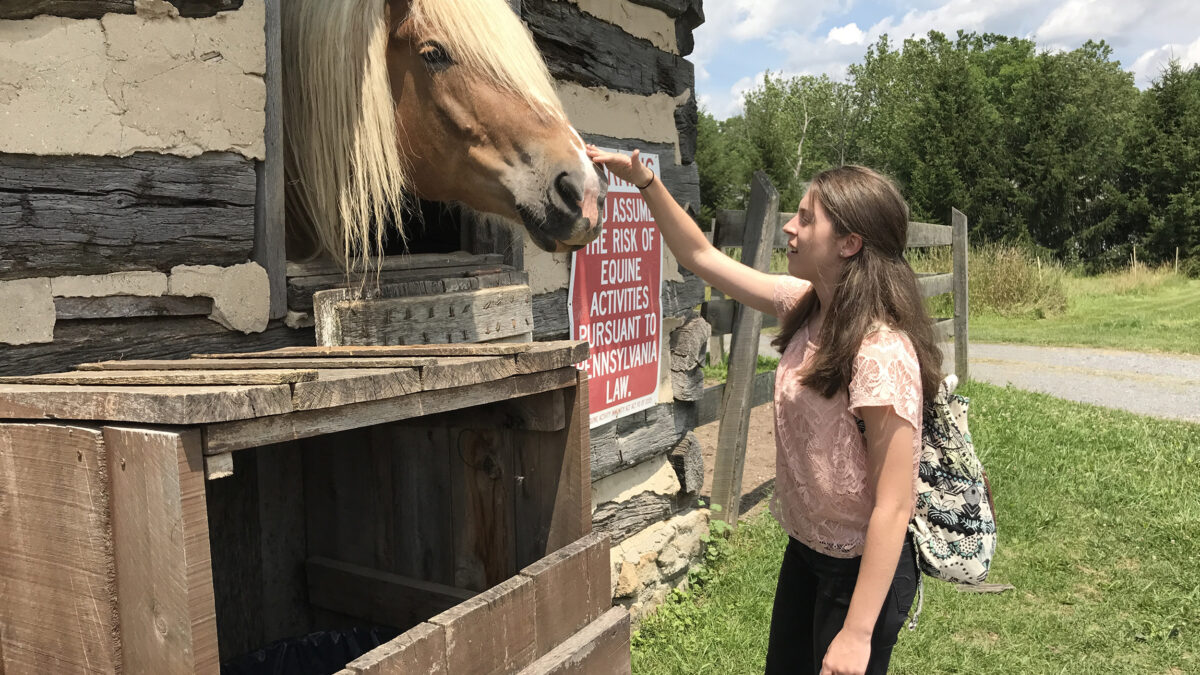 A teen reaching out and petting a horse in a shed