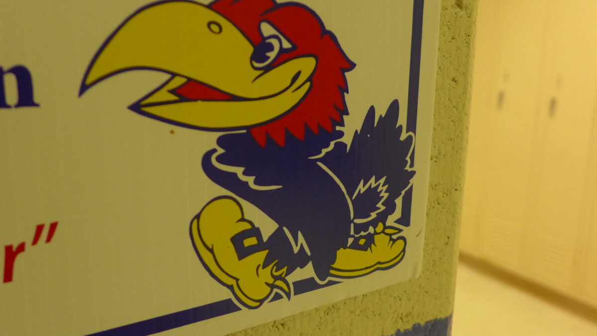 A graphic of a cartoon bird with a red head and a blue body on a yellow wall