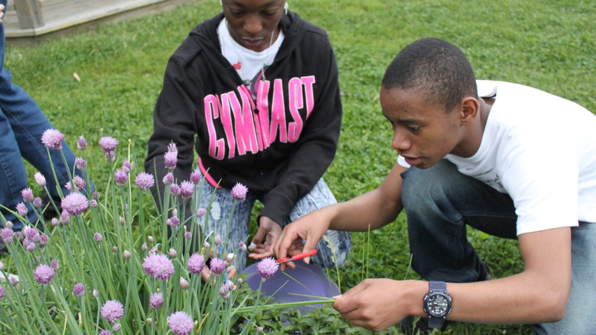 IMG_8651 Two teens interacting with a plant in a planter