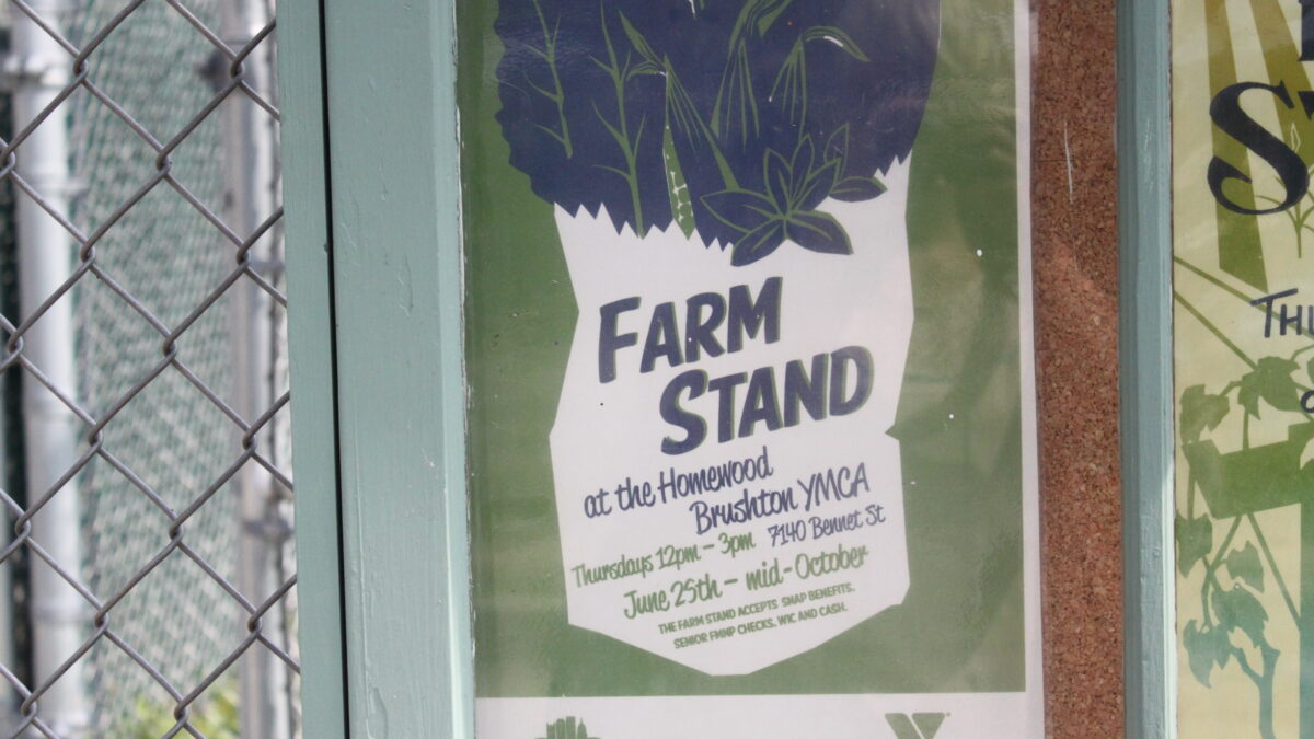 IMG_9707 A piece of paper on a bulletin board next to a fence with a graphic of a bag full of groceries advertising a farm stand