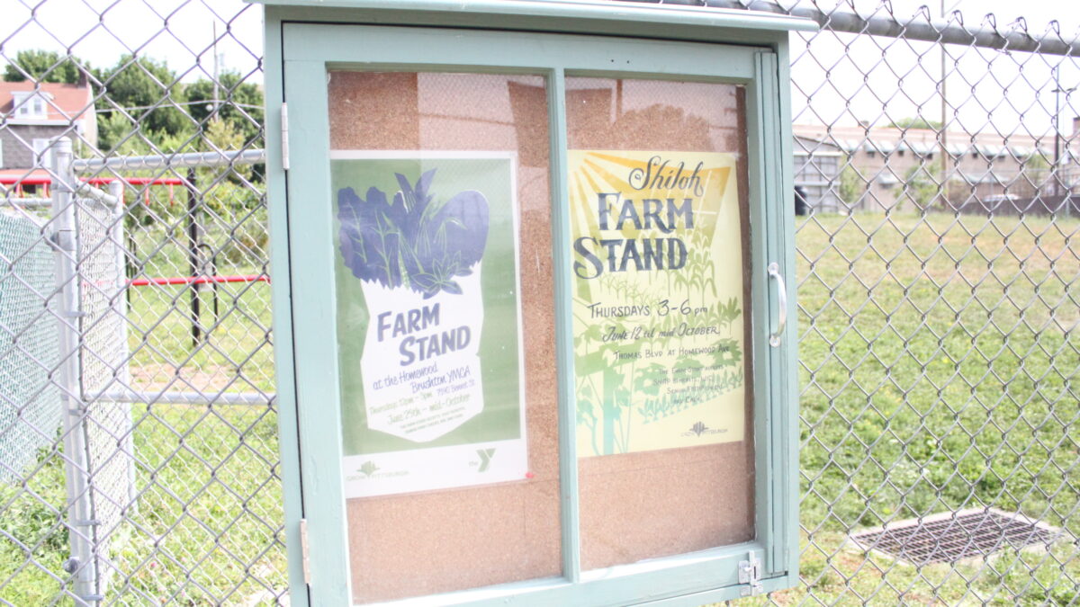 IMG_9708 Two pieces of paper on a bulletin board on a fence advertising a farm stand.