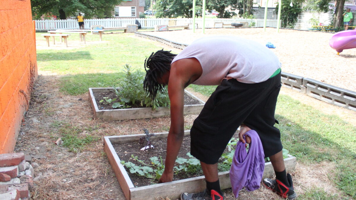 IMG_9712 An individual interacting with three rectangular planters next to an orange wall