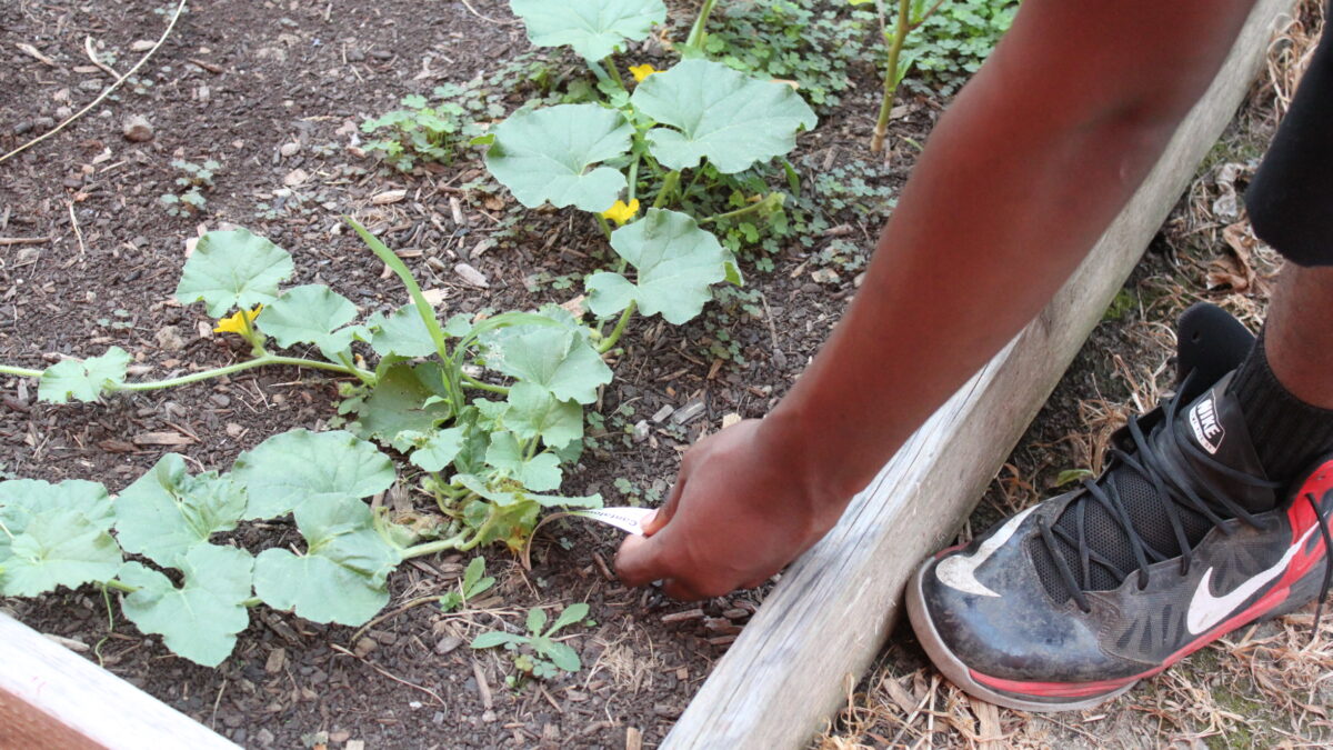 IMG_9713 A hand interacting with a small plant in a planter