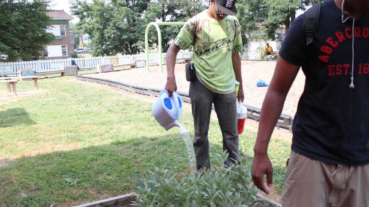 IMG_9717 A teen holding a water jug and using a watering can on a bush in a planter