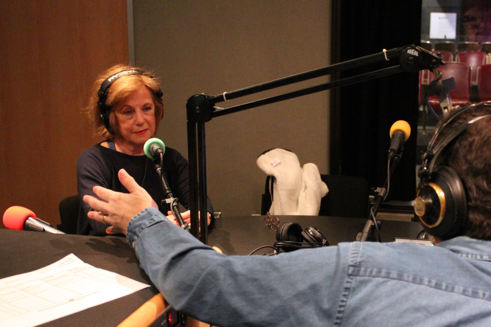 An adult wearing headphones sitting behind a microphone being interviewed by an adult wearing headphones gesturing with their left hand in a radio studio