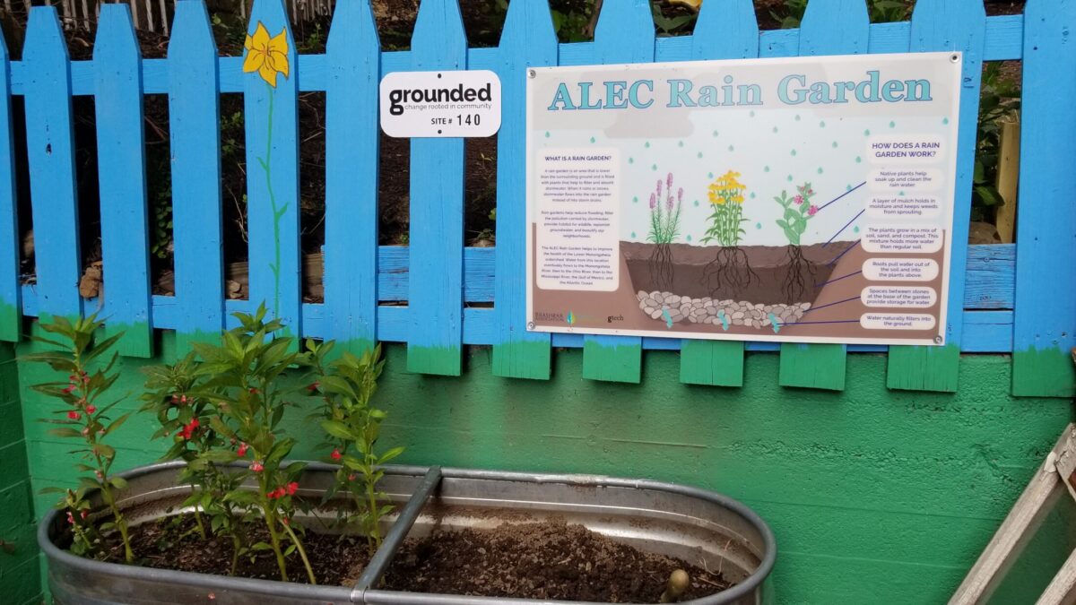 A blue fence with a single yellow flower painted on one of the pickets, along with a sign explaining the ALEC Rain Garden, and a metal oval shaped planter filled with dirt with a green plant with small red flowers growing out of the left side