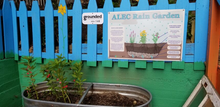 A blue fence with a single yellow flower painted on one of the pickets, along with a sign explaining the ALEC Rain Garden, and a metal oval shaped planter filled with dirt with a green plant with small red flowers growing out of the left side