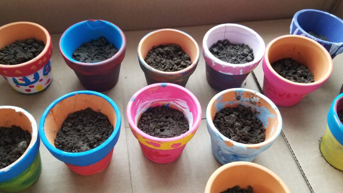 Thirteen small multicolored pots filled with dirt