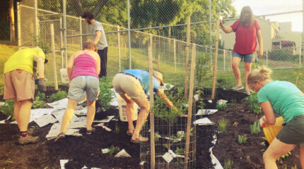 Six adults gardening and planting