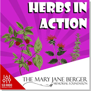 Graphic of plants with the text "Herbs in Action" in white on a purple background and "The Mary Jane Berger Memorial Foundation" in black on a white background