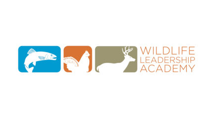 Three colored rectangles with a fish, a chicken, and a deer in each square, along with the text "Wildlife Leadership Academy"