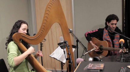 two adult musicians performing on acoustic guitar and harp