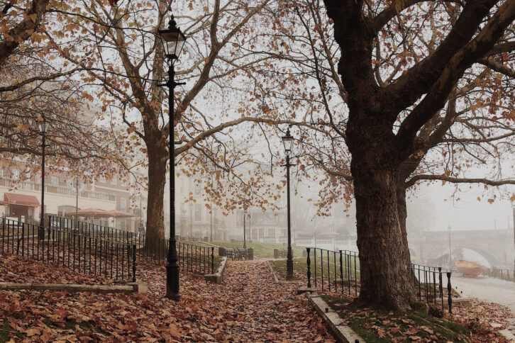 A sidewalk covered in leaves with two trees with orange leaves surrounded by fog
