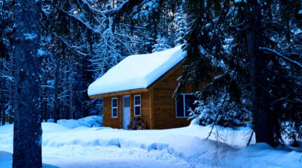 A wood cabin covered in snow in a snow covered forest