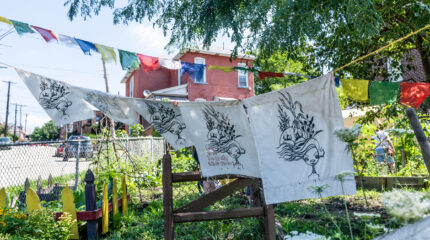 A bevy of multicolored flags and sheets with graphics of plants hanging above a small garden