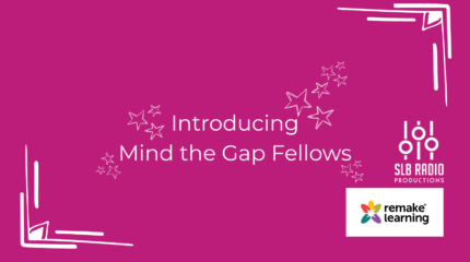 Introducing Mind the Gap Fellows graphic.