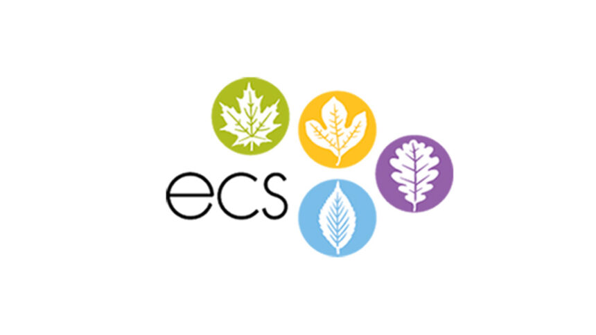 A green circle, a yellow circle, a purple circle, and a light blue circle, all with different white leaves inside, along with the text "ecs" on the left