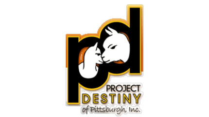 A graphic of two white llamas poking their heads out of a large black lowercase letter "p" and a large black lowercase letter "d", along with the text "Project" in black, "Destiny" in gold, and "of Pittsburgh, Inc." in black