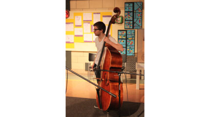 An individual holding an upright bass standing behind microphones