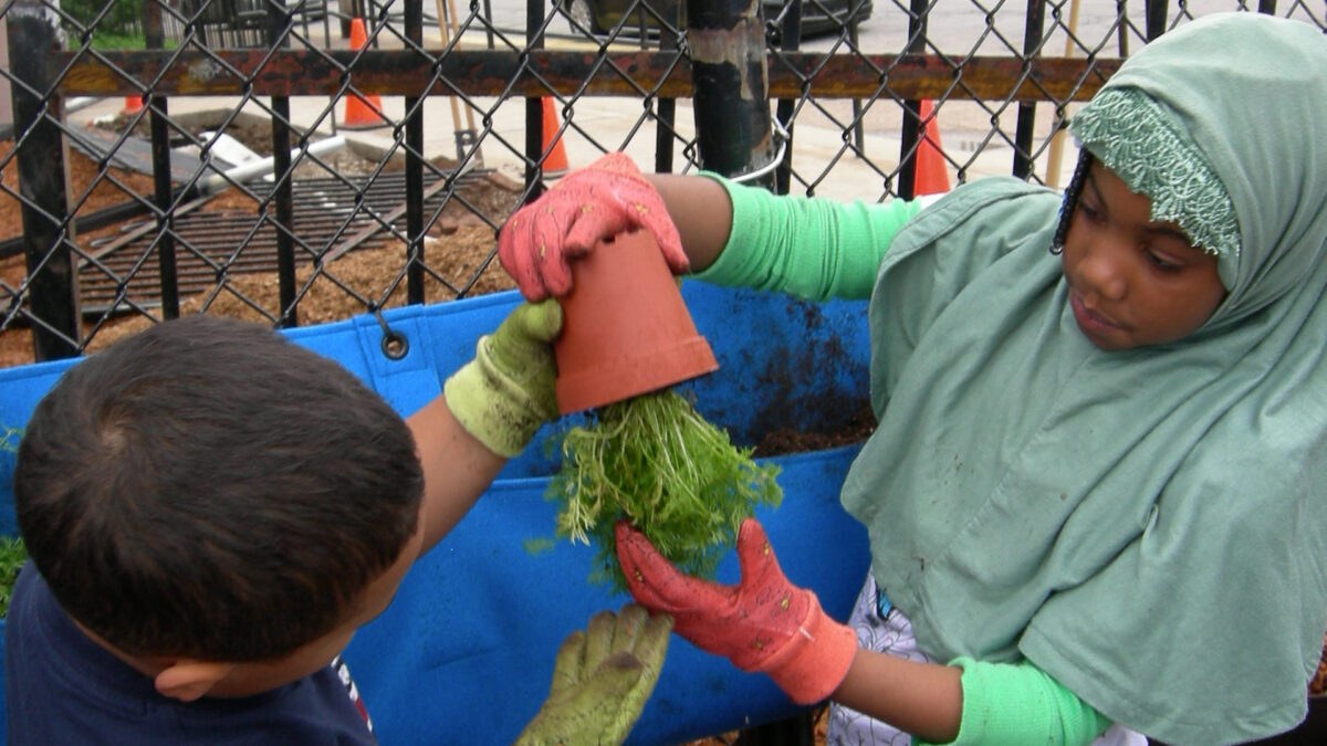 Two youth interacting with a potted plant