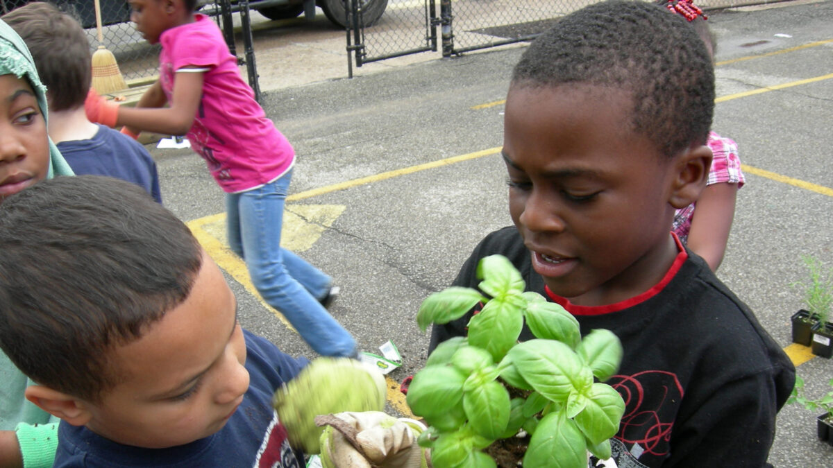 Five youth interacting with plants in a parking lot